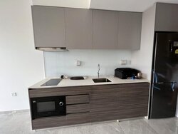 Stirling Residences (D3), Apartment #460611231